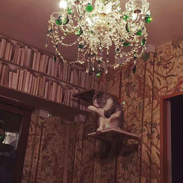 emmyyさんの実例写真