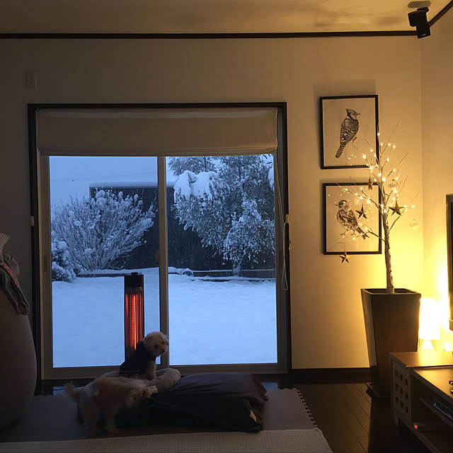 yuki.ism.124さんの実例写真
