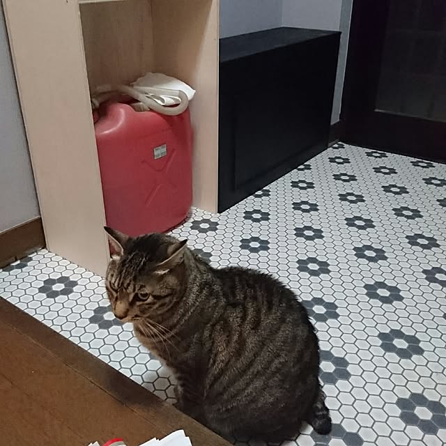 CHIBIさんの実例写真