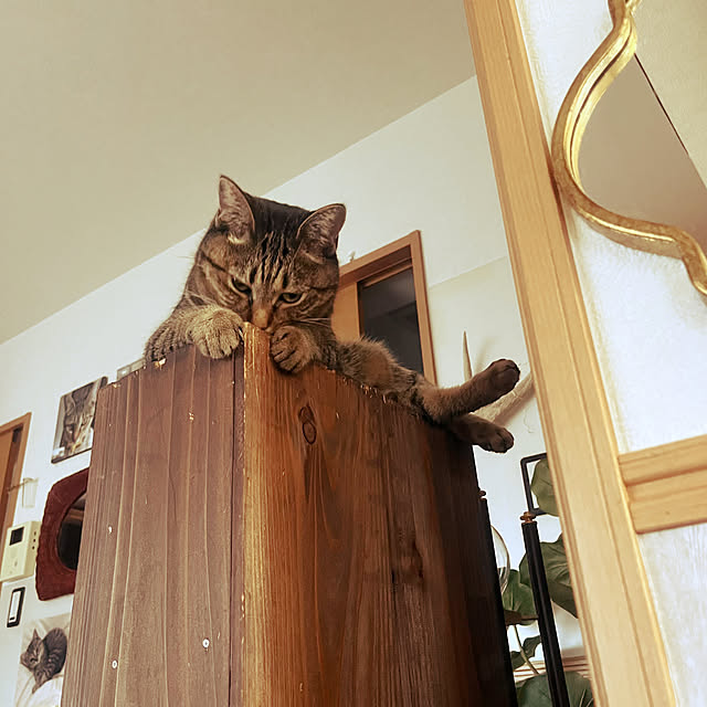 Mさんの部屋