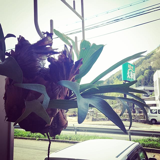 aknb08さんの実例写真