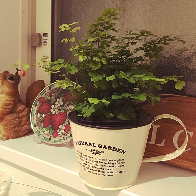 YukaKikiさんの実例写真