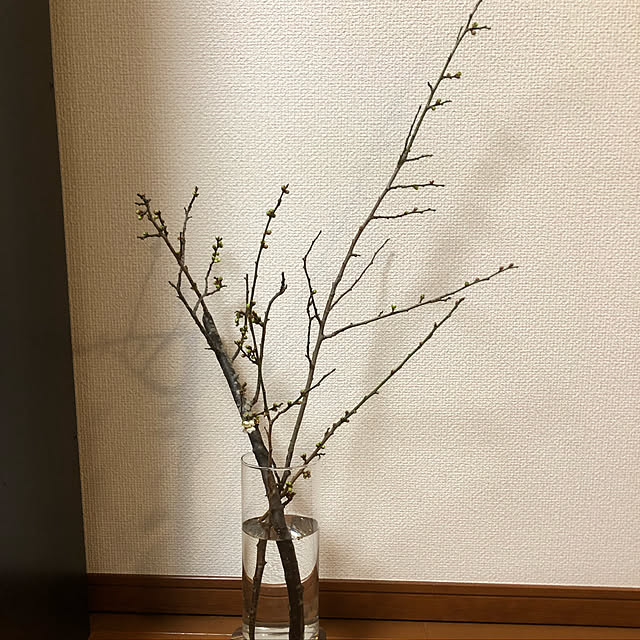 fumさんの実例写真