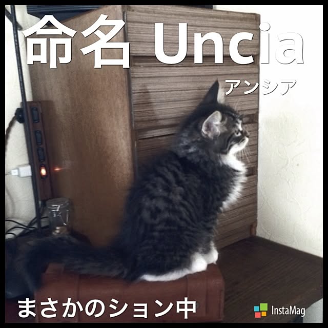 jnkaiさんの実例写真