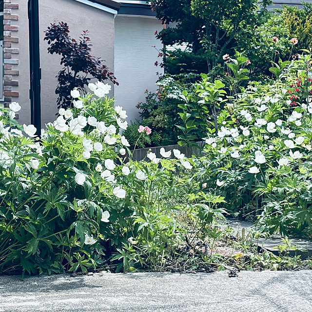 usagiさんの部屋