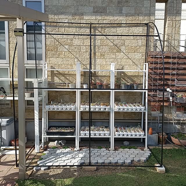 soyokoさんの実例写真