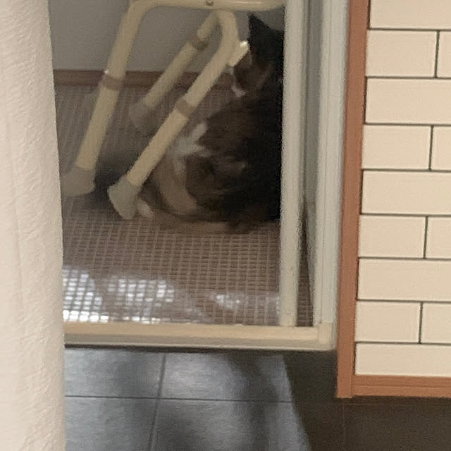 masakoさんの部屋