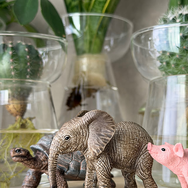 Yoshimiさんの部屋