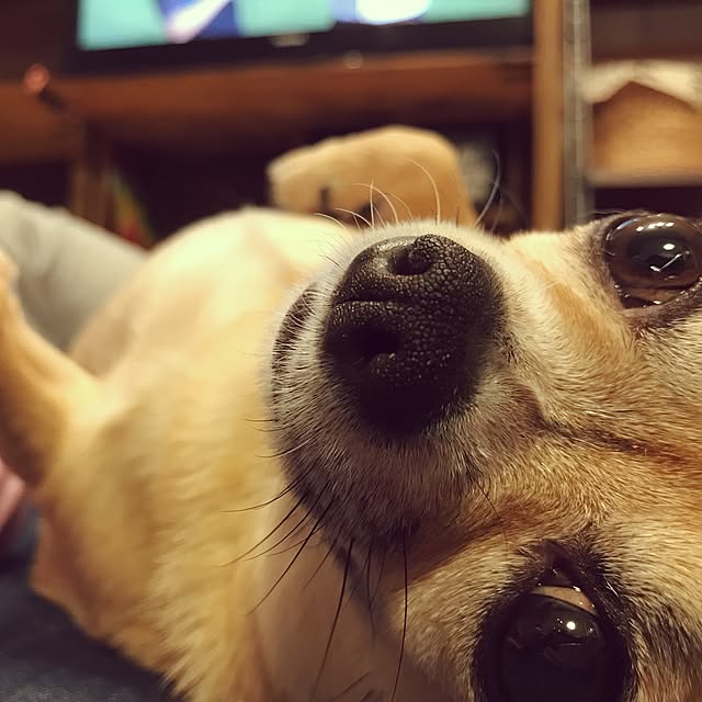 mamayuさんの実例写真
