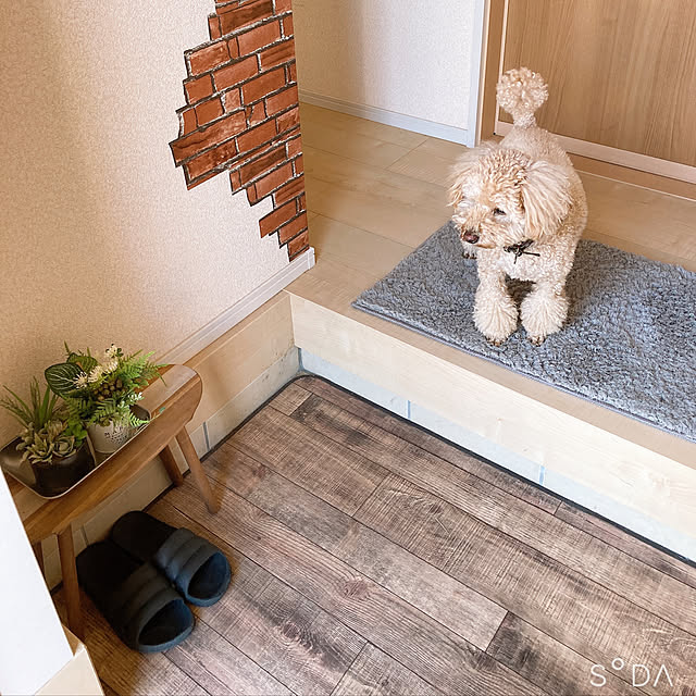 NICOさんの実例写真
