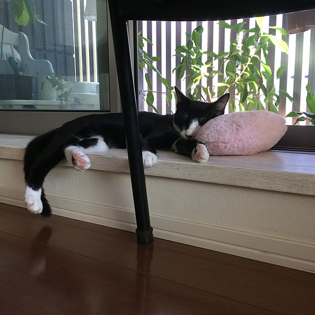 mako2yaさんの実例写真