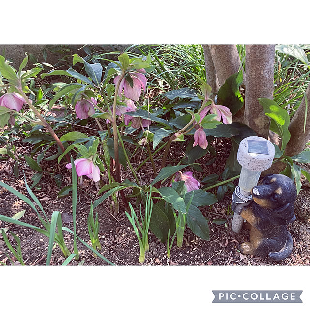 CoCo0617さんの部屋