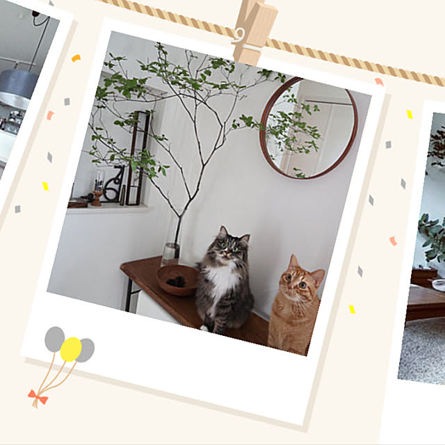 Hisashiさんの実例写真