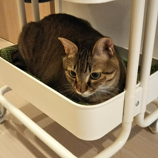 naturalさんの実例写真