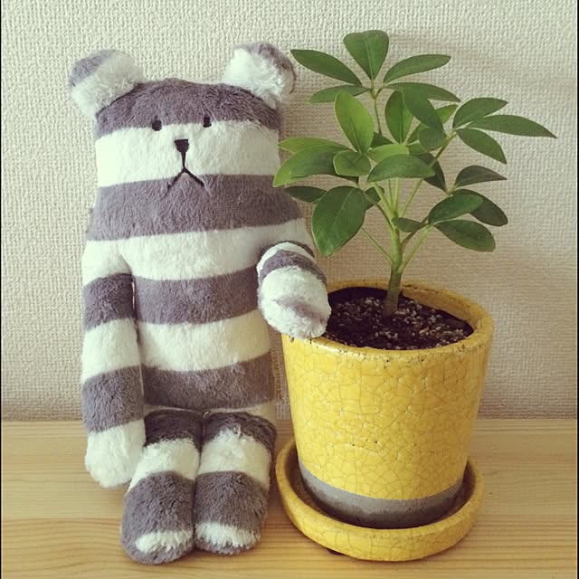 chikoさんの実例写真