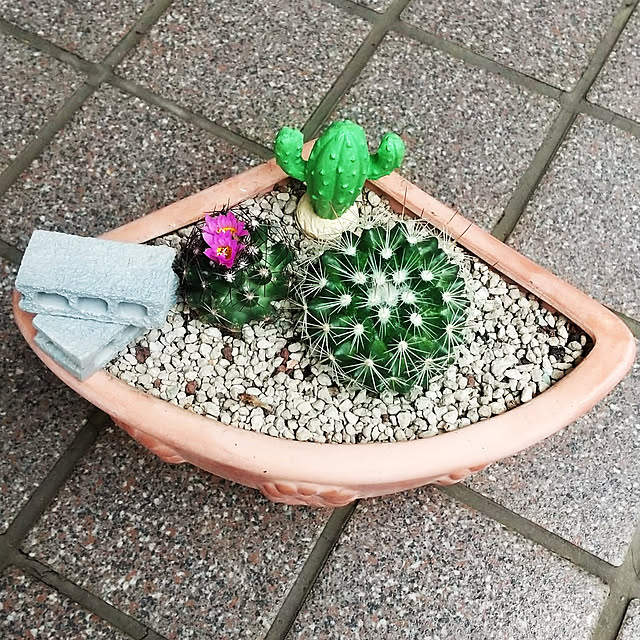 実例写真