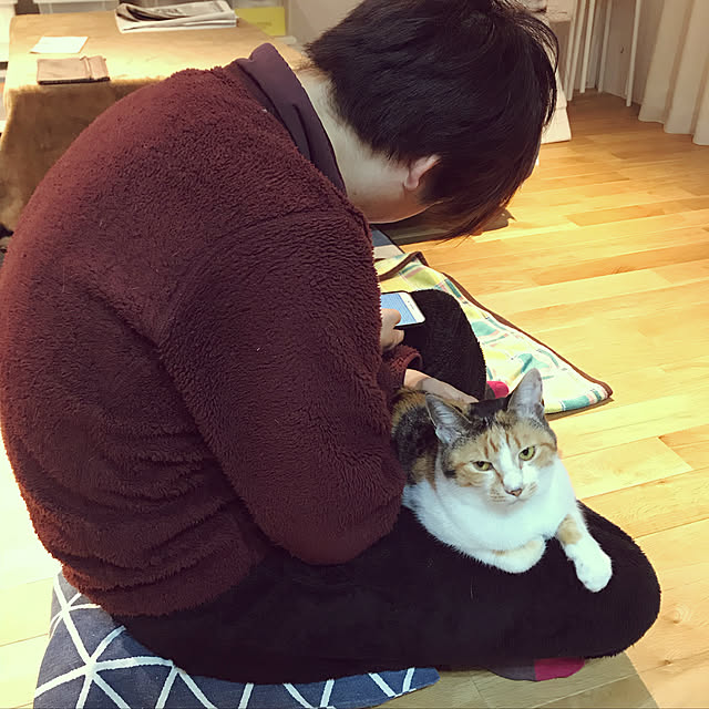 実例写真