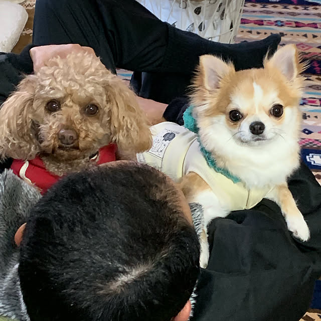 moko7ruiさんの実例写真