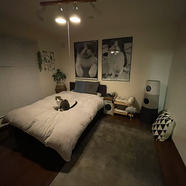 tansukeさんの実例写真