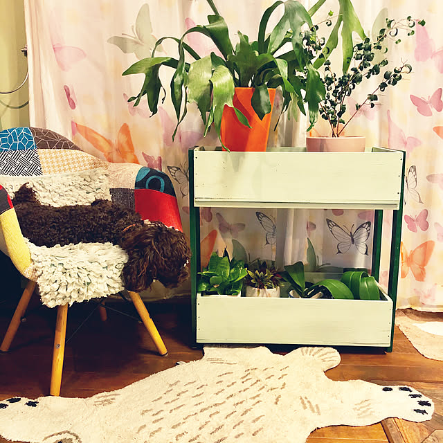 cloverさんの実例写真