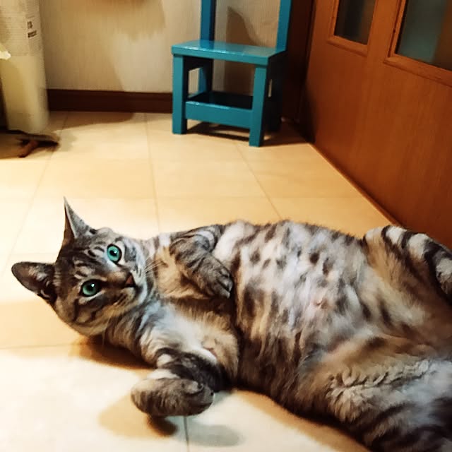 bubuさんの実例写真