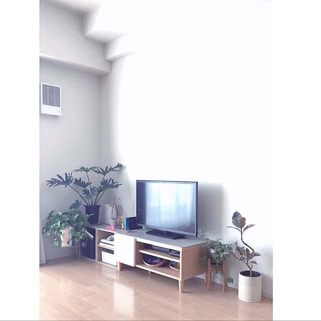 RITSUさんの実例写真
