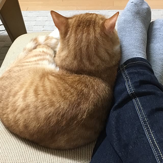 baronkotarouさんの実例写真