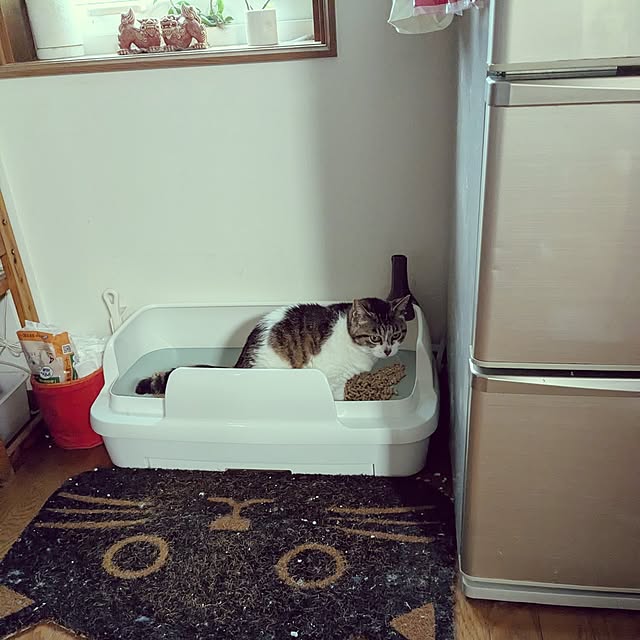 hiroさんの実例写真