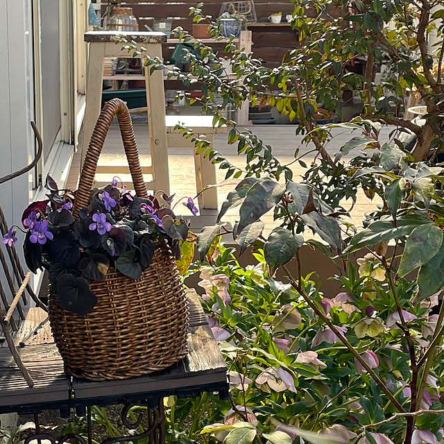 nobikoさんの実例写真