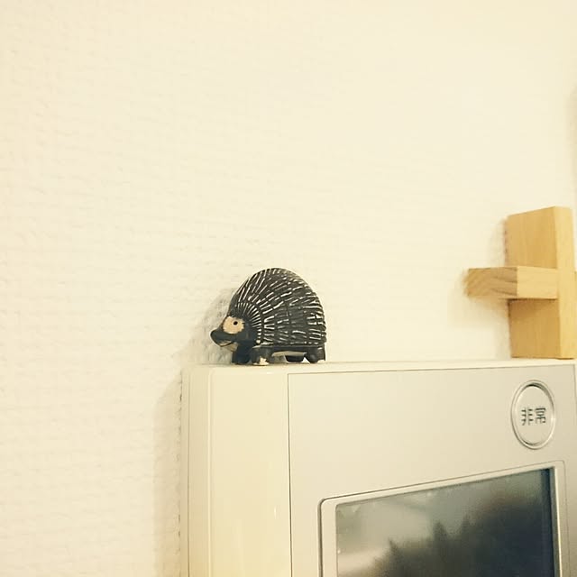 moricoさんの実例写真