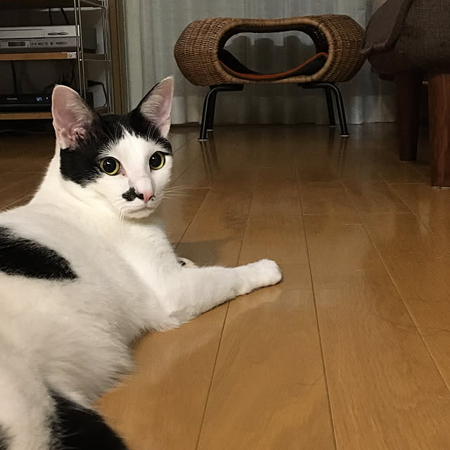 nobikoさんの実例写真