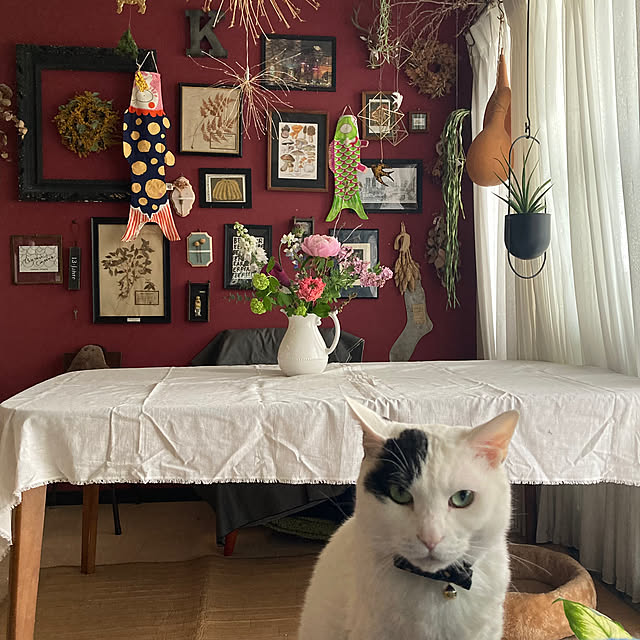 izumiさんの実例写真