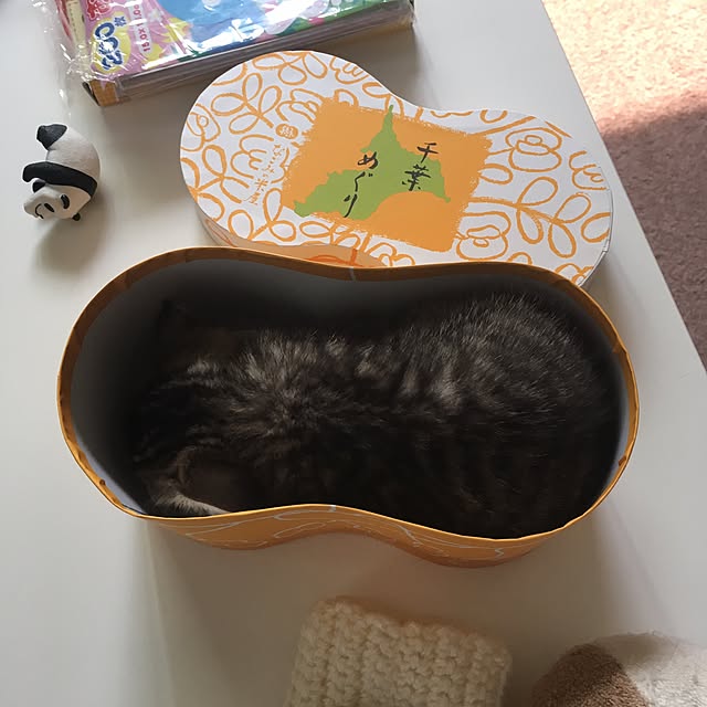 mikomaruさんの実例写真