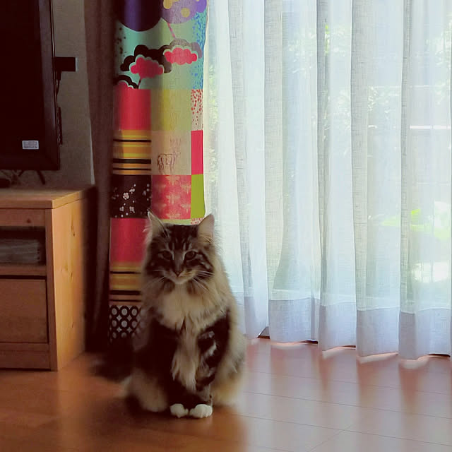 mokoさんの実例写真