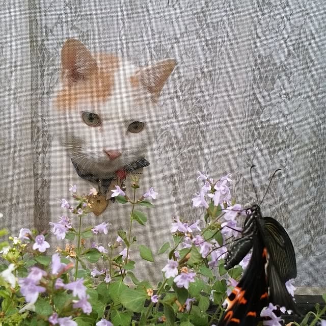 NOAHさんの実例写真