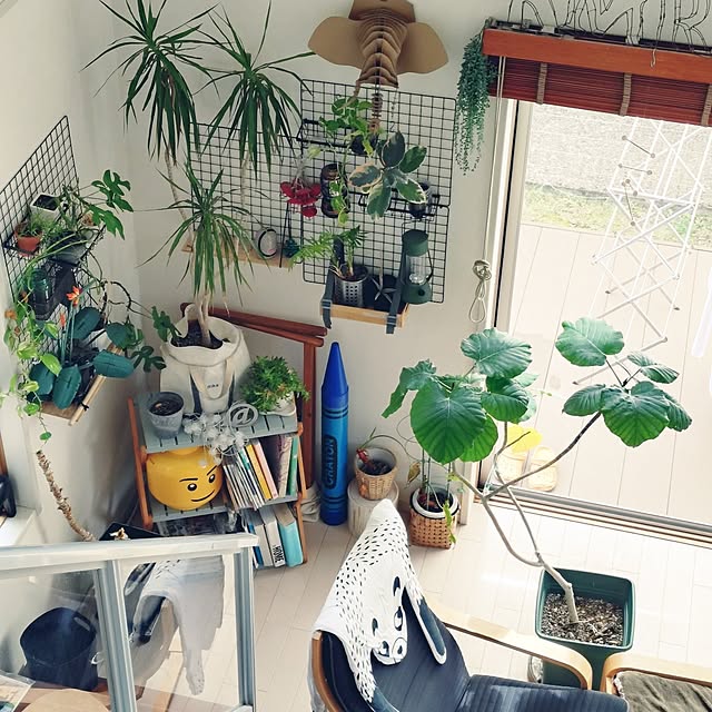 urchinさんの部屋