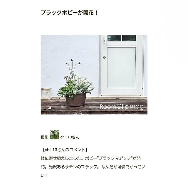 chiii13さんの実例写真