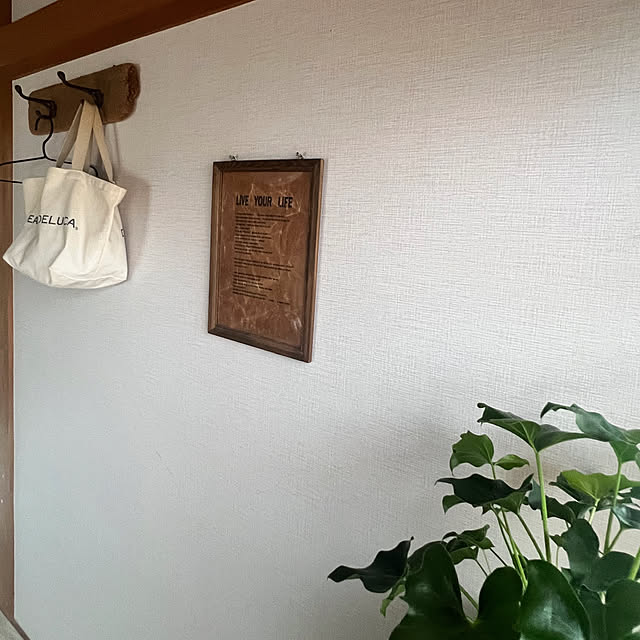 rookuさんの実例写真