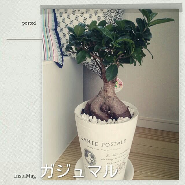 miyumiyu0717さんの実例写真