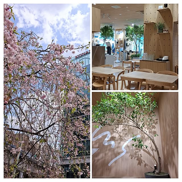 noaさんの部屋