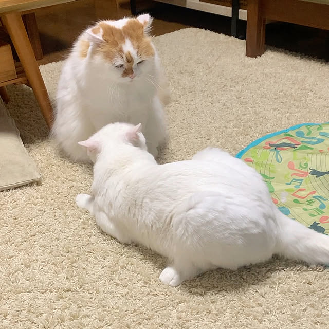 keiさんの部屋