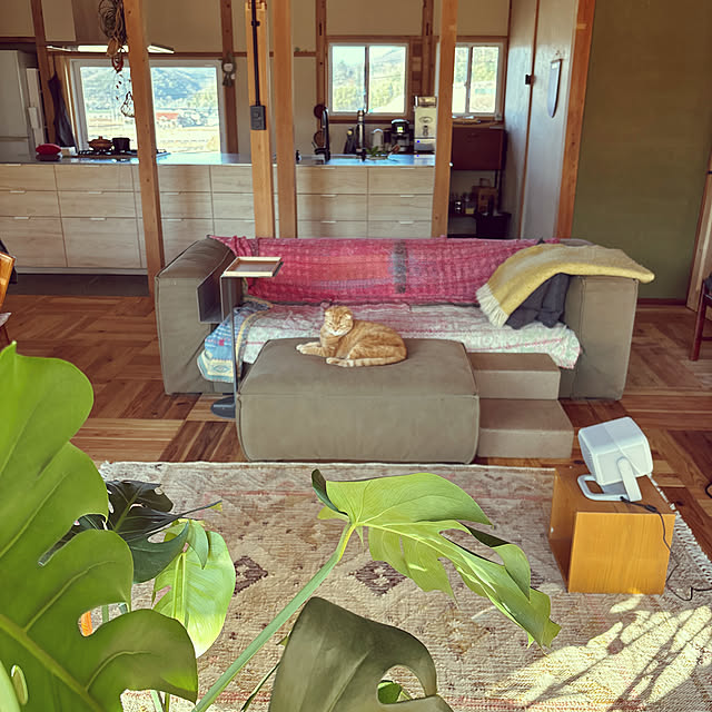 443さんの実例写真