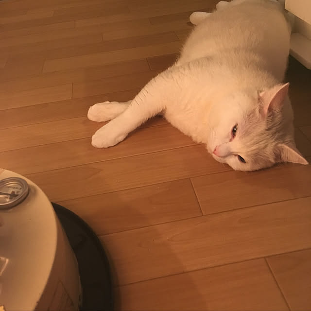 Pete0923さんの実例写真