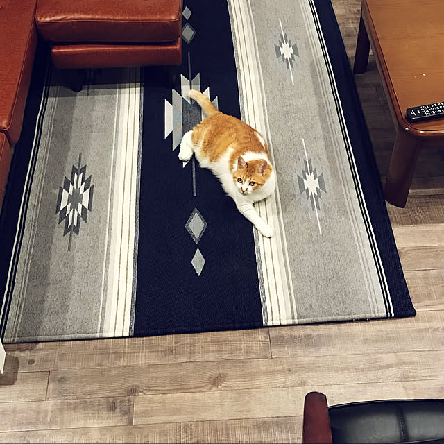 rocotamさんの実例写真