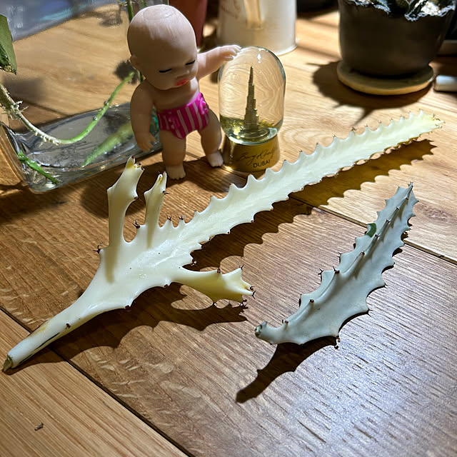 Rさんの部屋