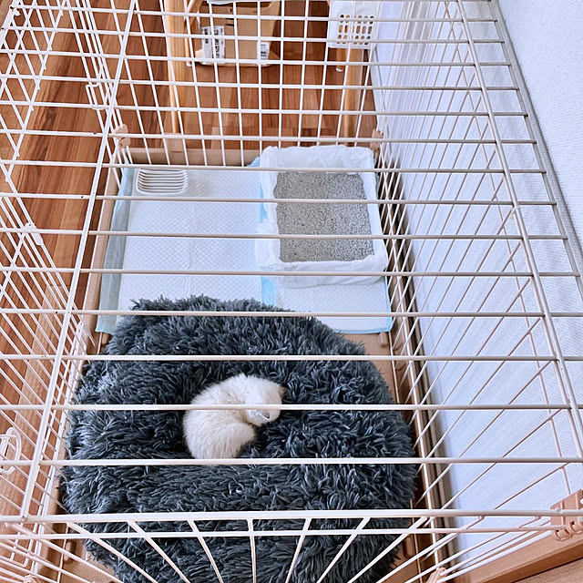amさんの部屋