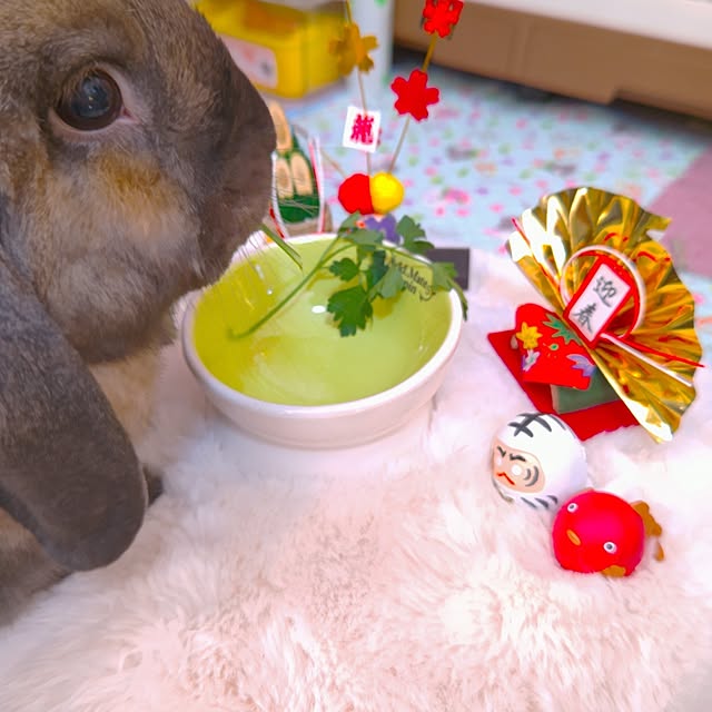 mariaさんの部屋