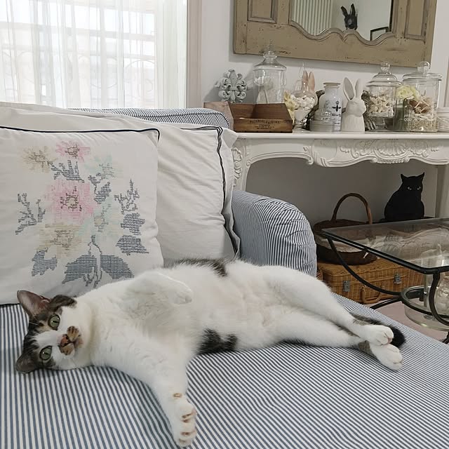 yuchiさんの実例写真