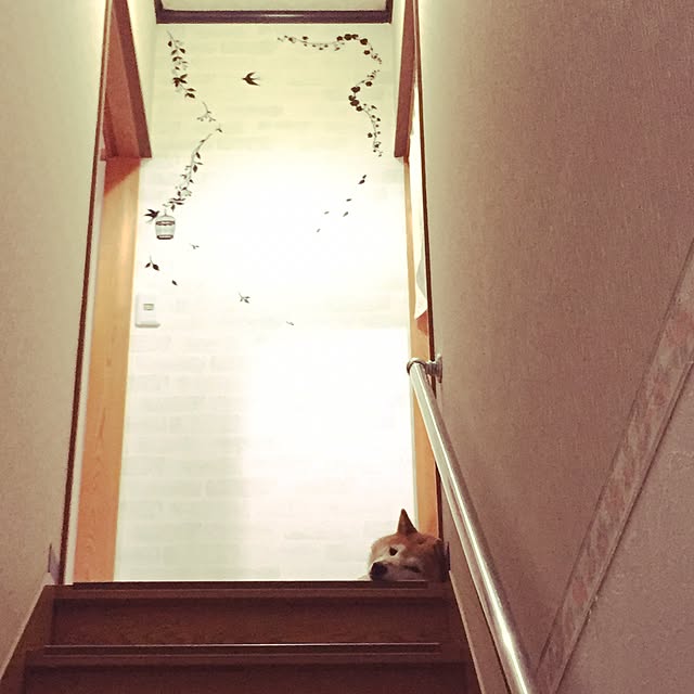 htm.さんの実例写真