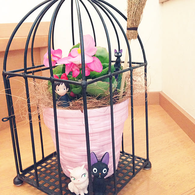 ayakaさんの実例写真